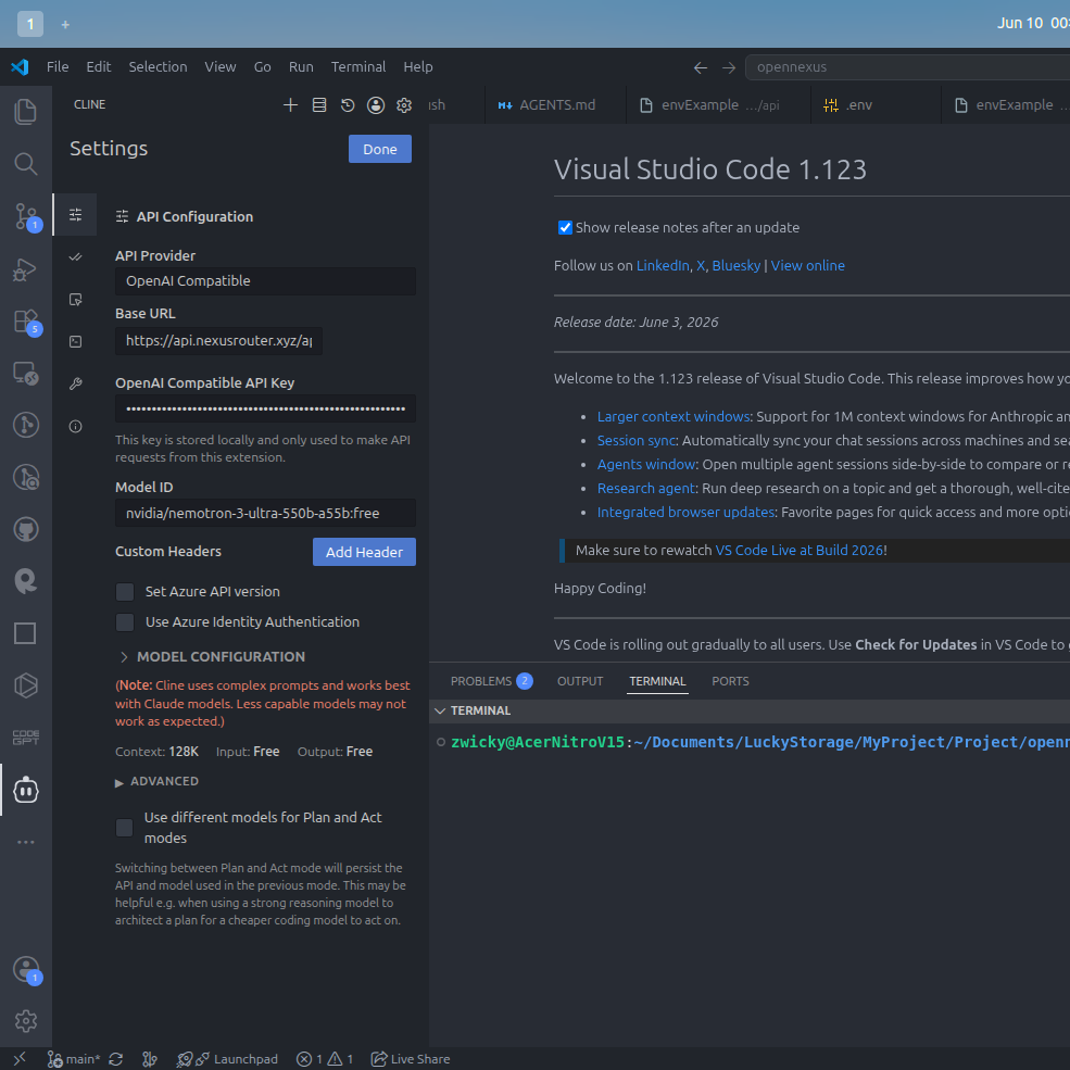 Contoh Konfigurasi Cline di VS Code